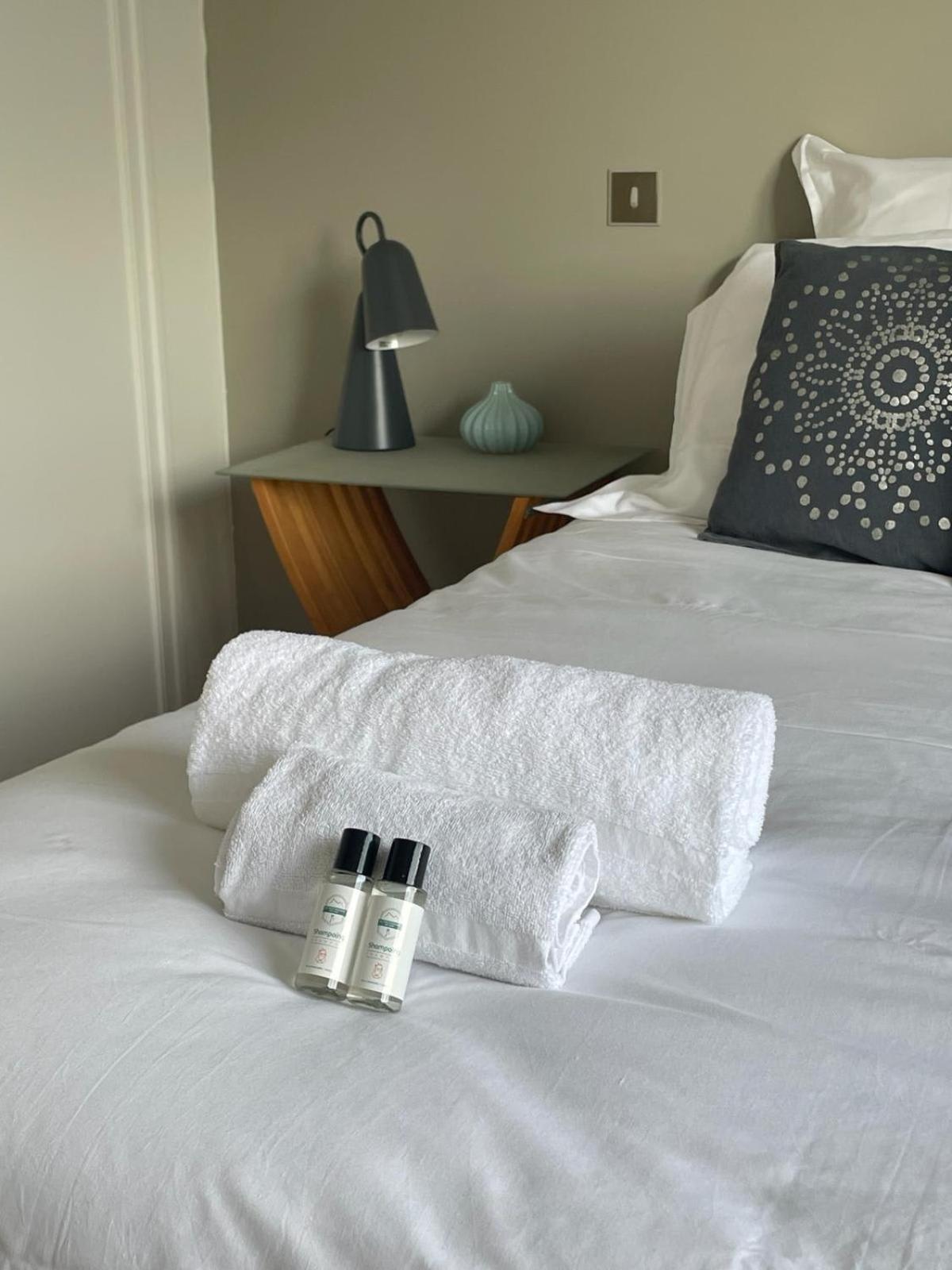 Tournette-Comfortable And Quiet Luxury Apartment Annecy Dış mekan fotoğraf